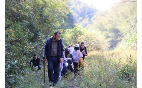 踏秋尋寶，聞香識藥！首屆神農(nóng)杯野外識藥大賽在株洲鳳凰山景區(qū)成功舉辦！