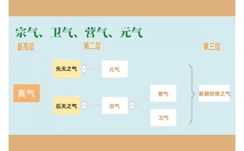 中醫(yī)里的“宗氣”、“衛(wèi)氣”、“營氣”、“元氣”